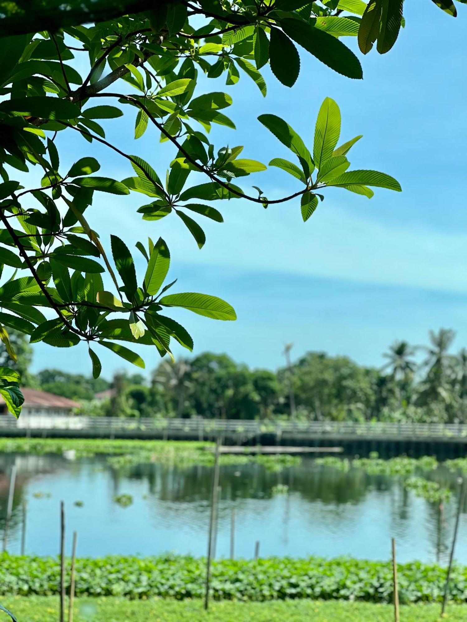 Mrt Riverside Sampran มิสเตอร์ที โฮมสเตย์-ช้องนาง 外观 照片