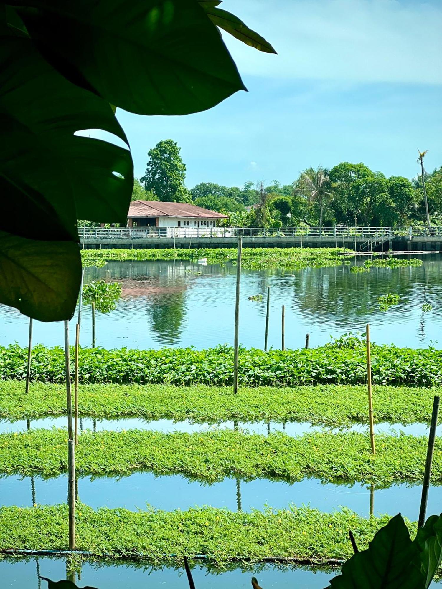Mrt Riverside Sampran มิสเตอร์ที โฮมสเตย์-ช้องนาง 外观 照片